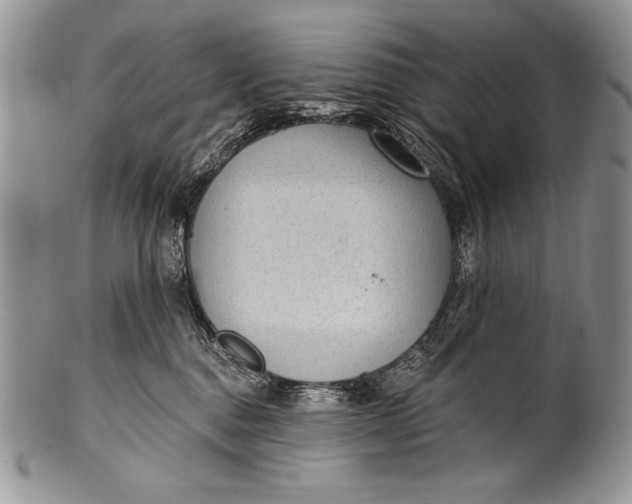 X0000100360376200806201610