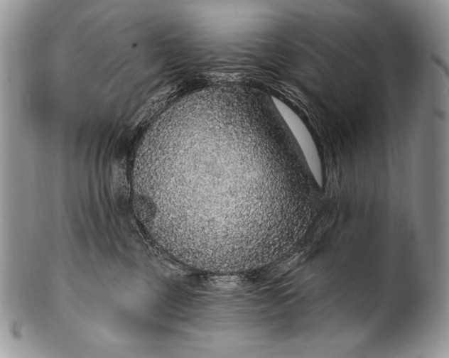 X0000100360377200806201610