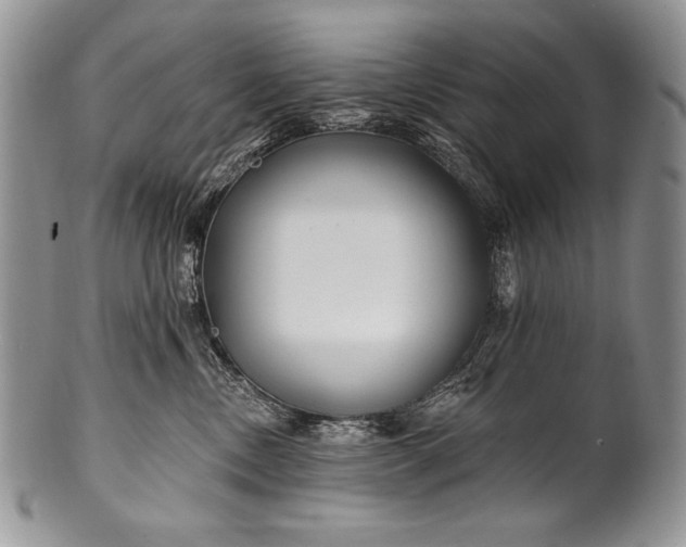 X0000100360378200806201610