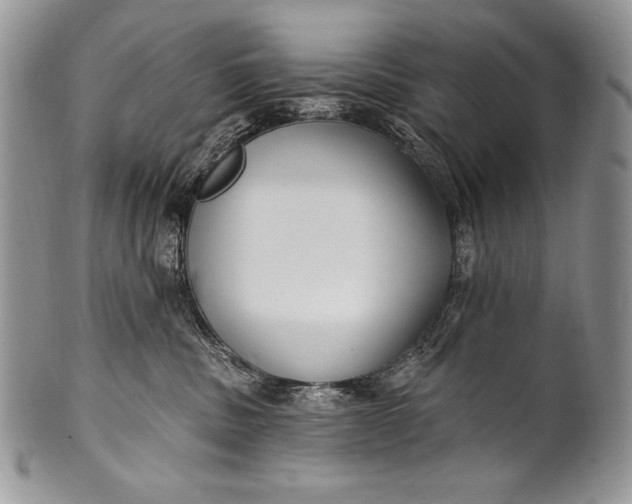 X0000100360379200806201610