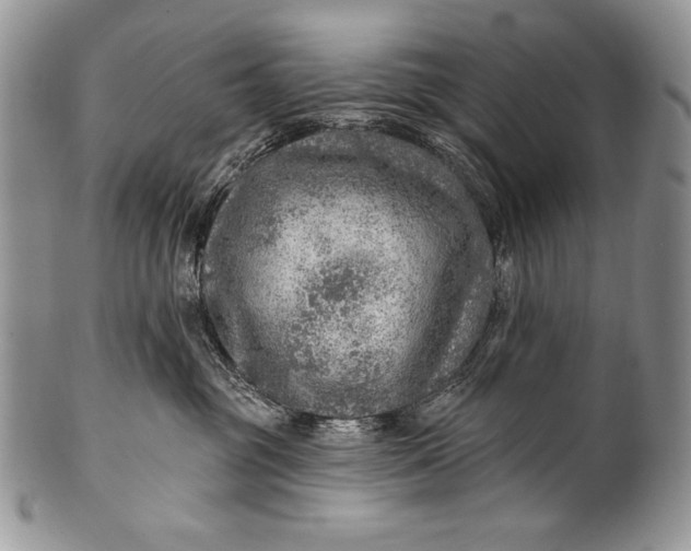 X0000100360381200806201610