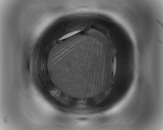 X0000100360382200806201610