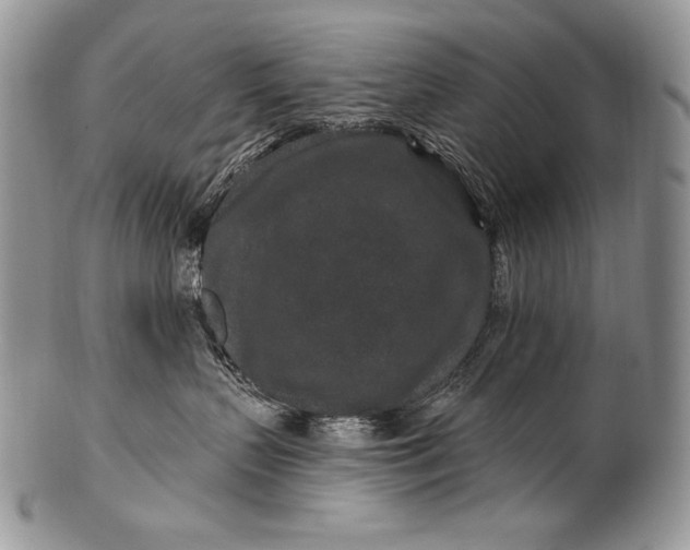 X0000100360383200806201610