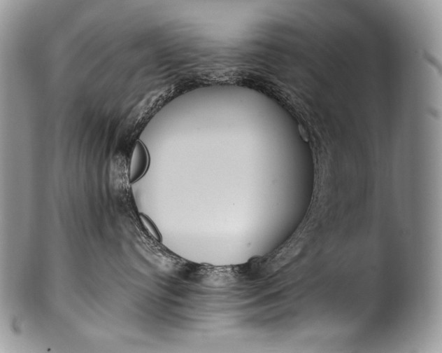 X0000100360384200806201610