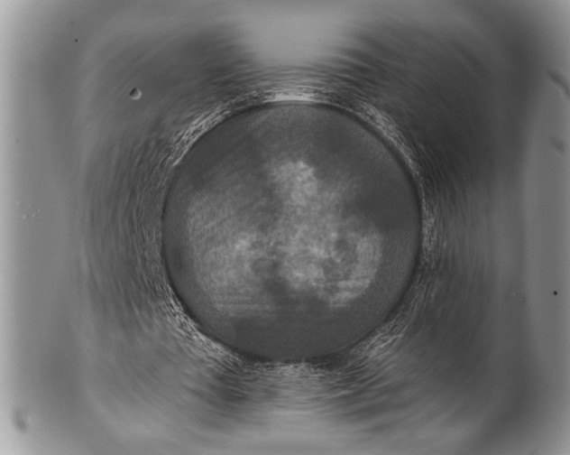 X0000100360385200806201609