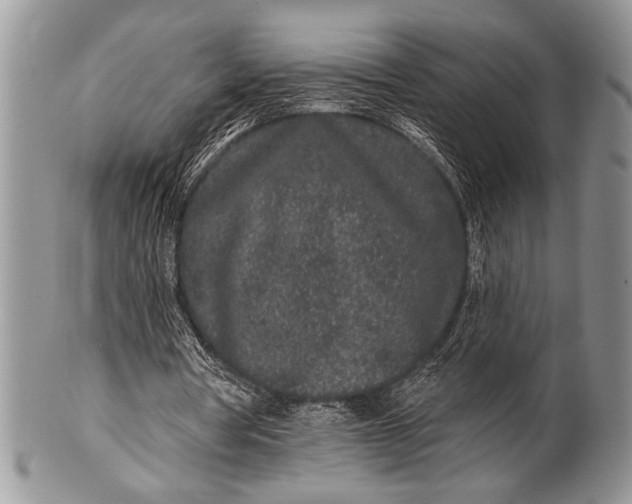 X0000100360386200806201609