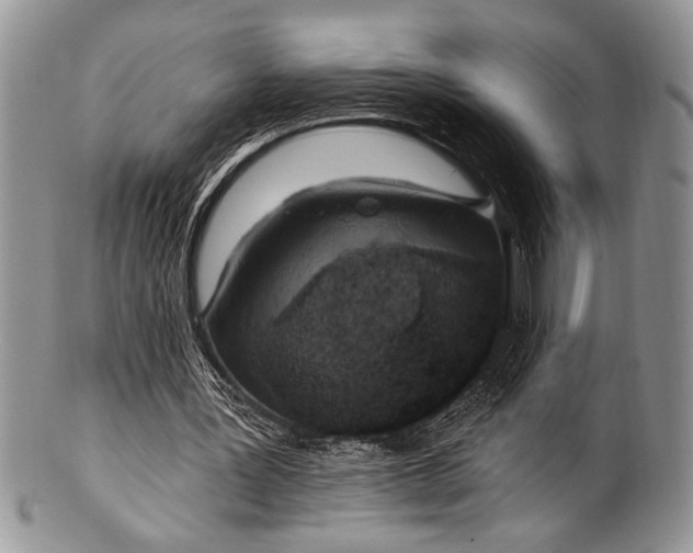 X0000100360387200806201609