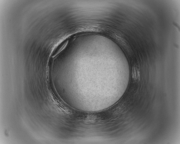 X0000100360388200806201609