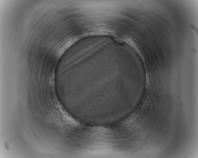 X0000100360389200806201609