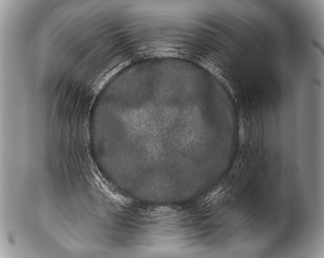 X0000100360390200806201609