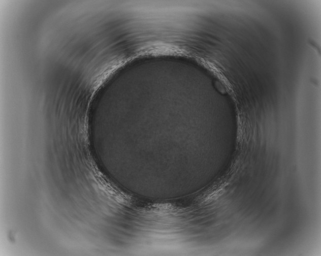 X0000100360391200806201609