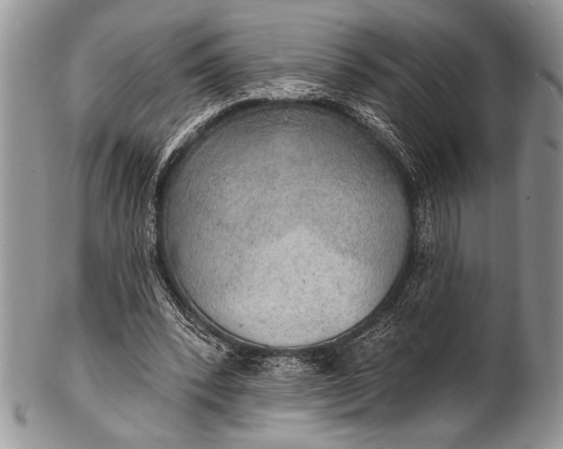 X0000100360392200806201609