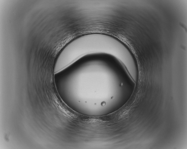 X0000100360393200806201609