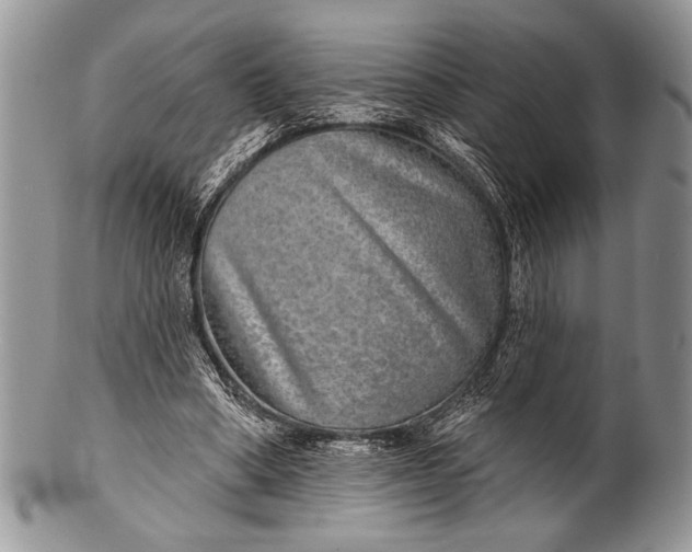 X0000100360394200806201609