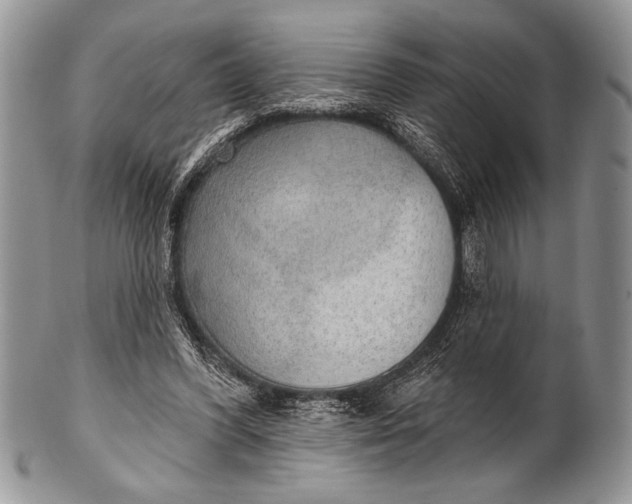 X0000100360396200806201609