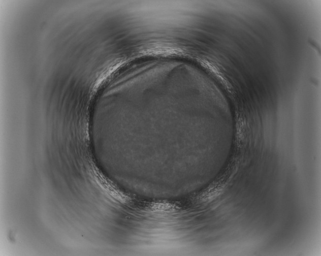 X0000100360399200806201609