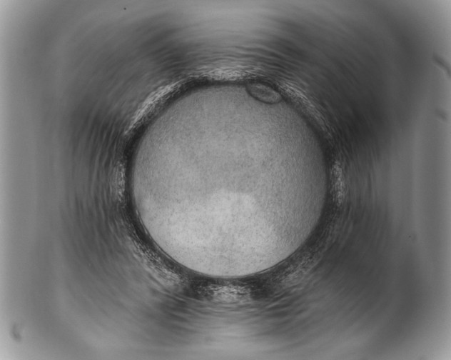 X0000100360400200806201609