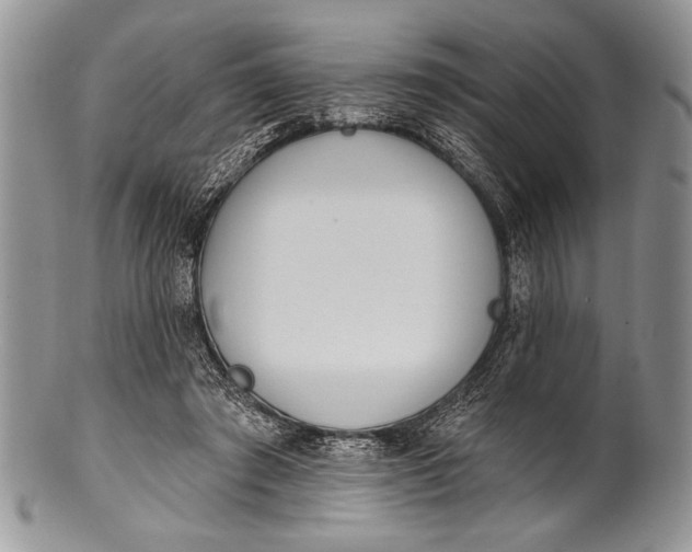 X0000100360401200806201609