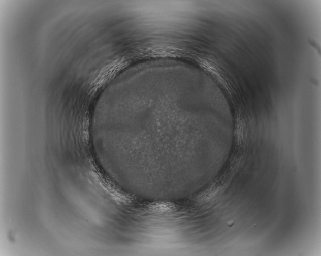 X0000100360402200806201609