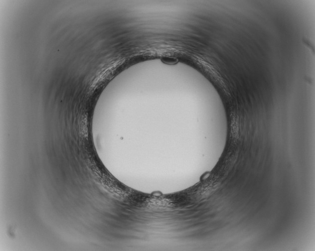 X0000100360403200806201609