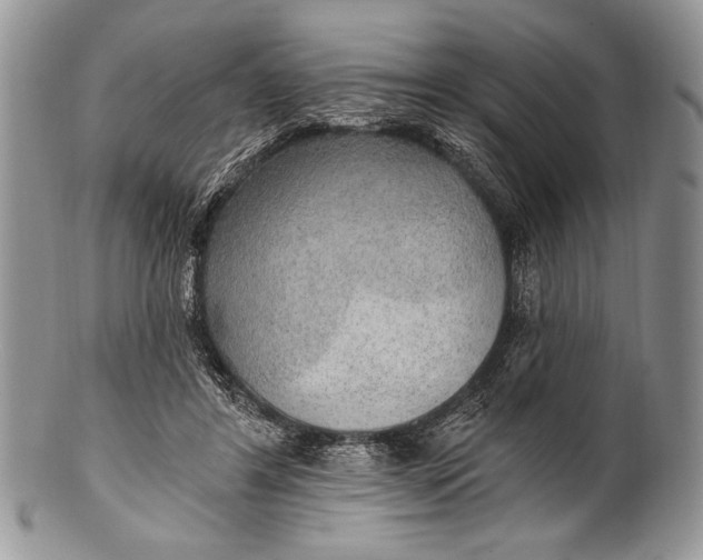 X0000100360404200806201609