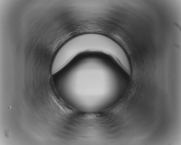 X0000100360405200806201609