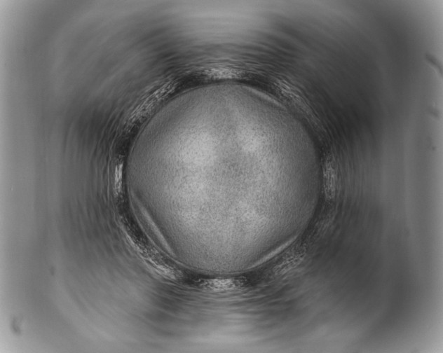 X0000100360406200806201609