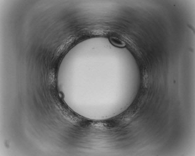 X0000100360407200806201609