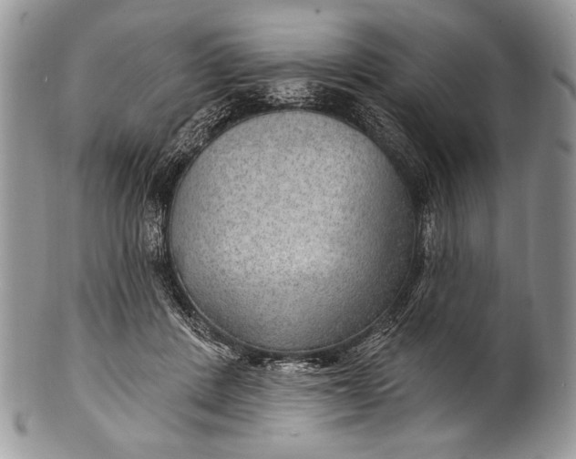 X0000100360408200806201609