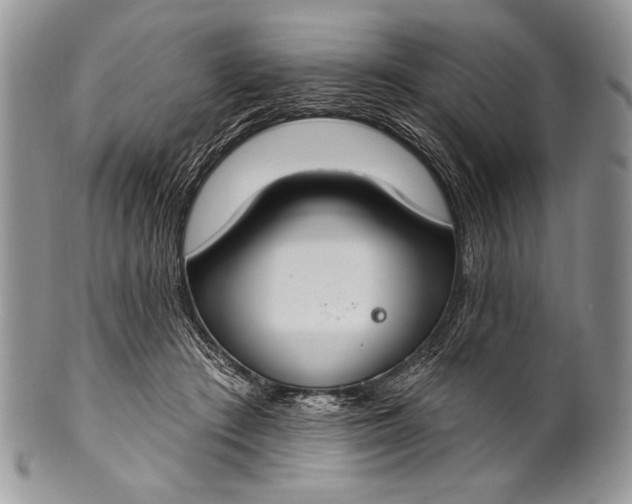 X0000100360409200806201609