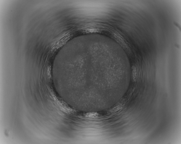 X0000100360410200806201609