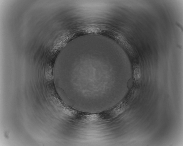 X0000100360411200806201609