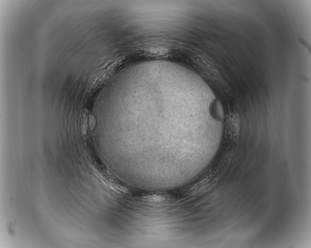 X0000100360412200806201609