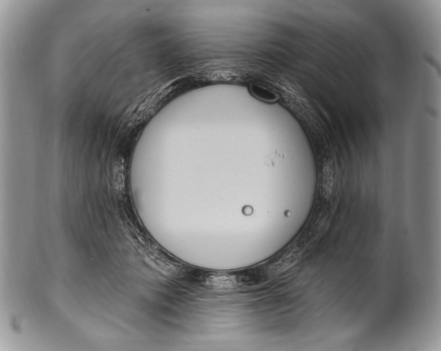 X0000100360413200806201609