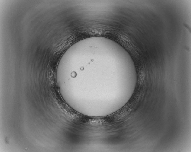 X0000100360414200806201609