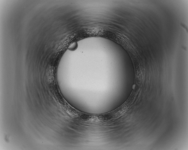 X0000100360416200806201609