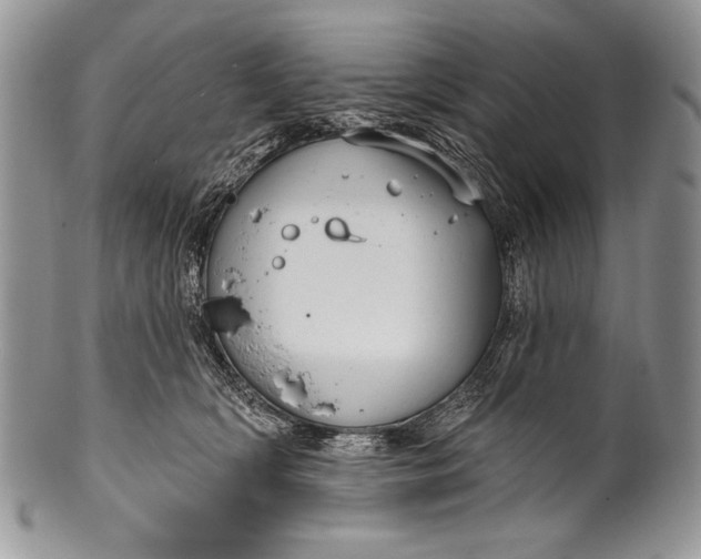 X0000100360418200806201609