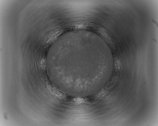 X0000100360419200806201609