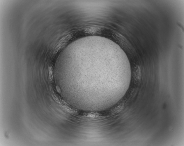 X0000100360420200806201609