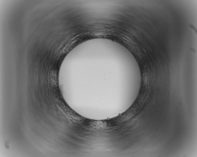 X0000100360421200806201609