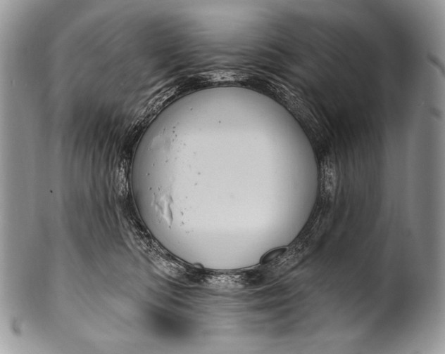 X0000100360422200806201609