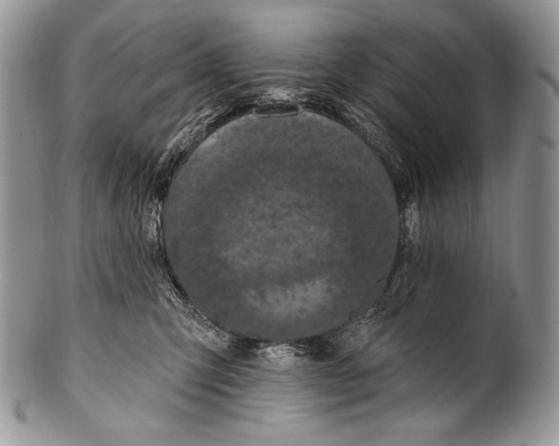 X0000100360423200806201609