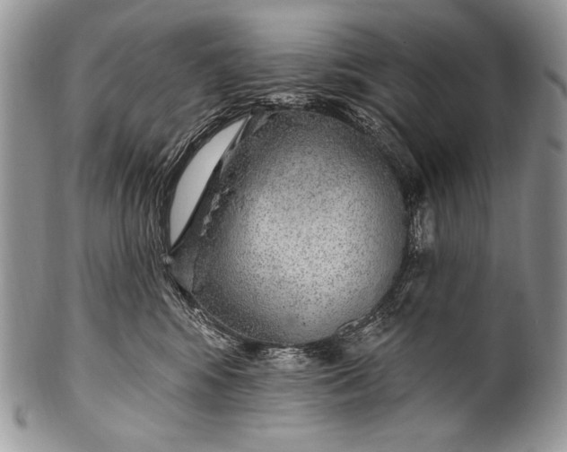 X0000100360424200806201609