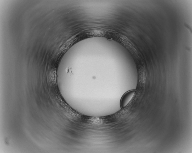 X0000100360425200806201609