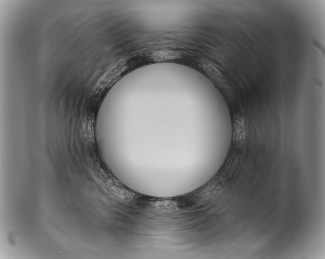 X0000100360426200806201609