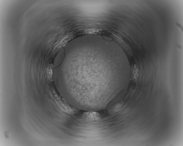 X0000100360427200806201609