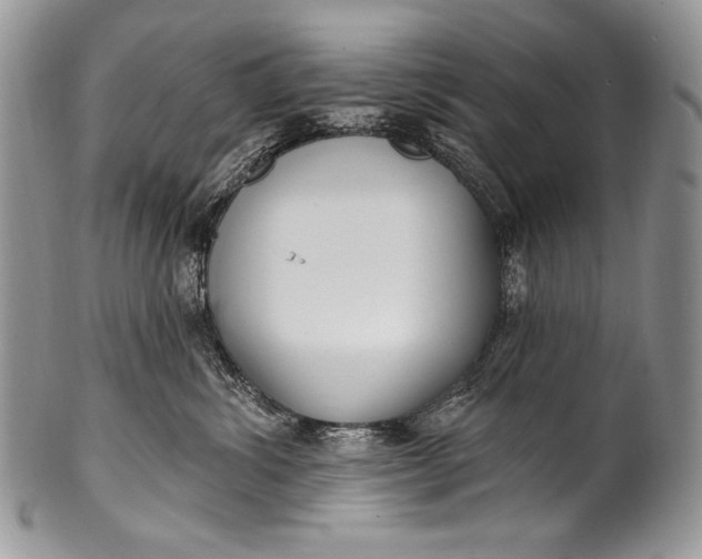 X0000100360428200806201609