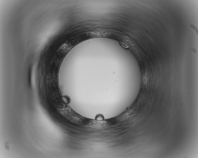 X0000100360429200806201609