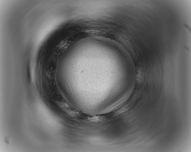 X0000100360430200806201609