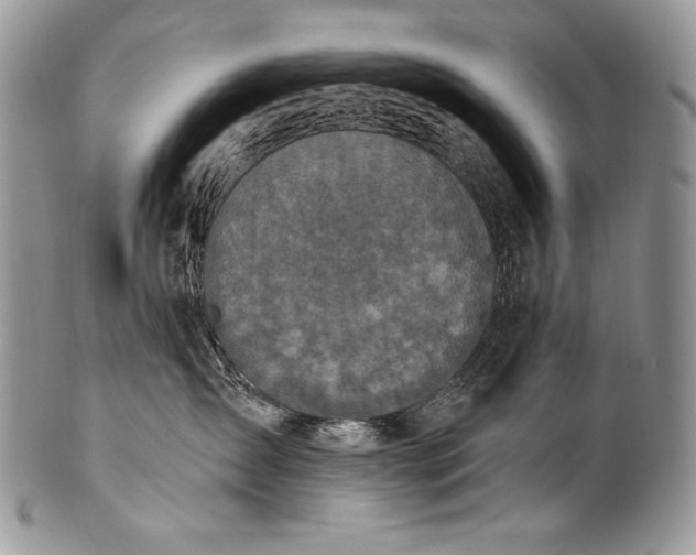 X0000100360431200806201609